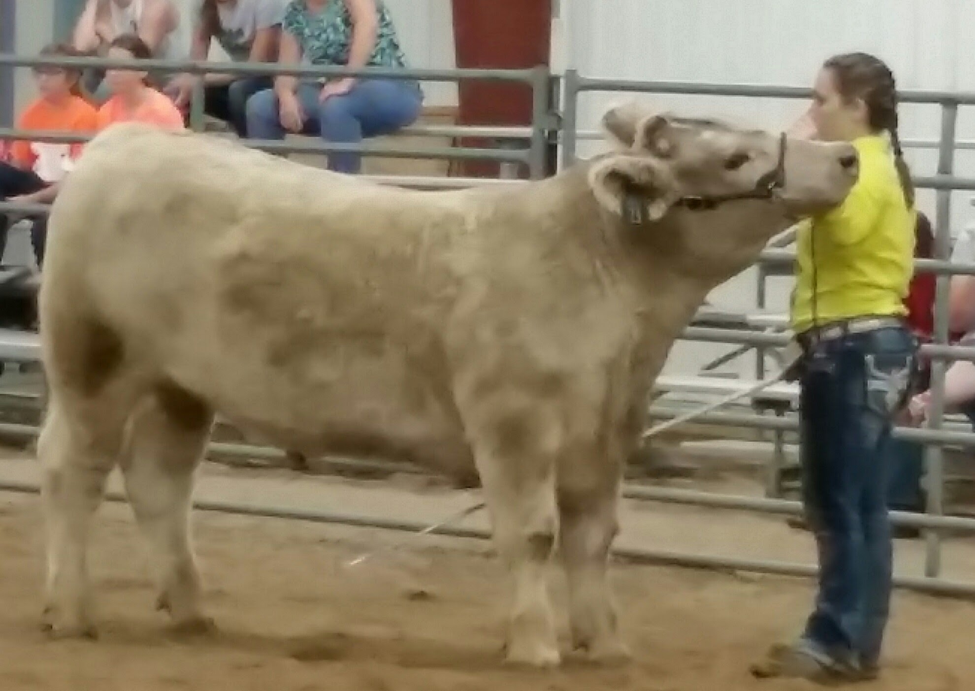 Homestead Estates Home Plus Senior Living in Liberal, KS